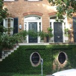 Lots of Vines on this house in Savannah