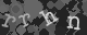 Please type the characters of this captcha image in the input box