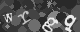Please type the characters of this captcha image in the input box