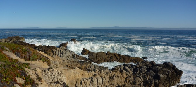 HARBOR SEALS AND MONTEREY’S FISH HOUSE